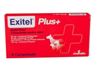 Exitel Plus Flavour