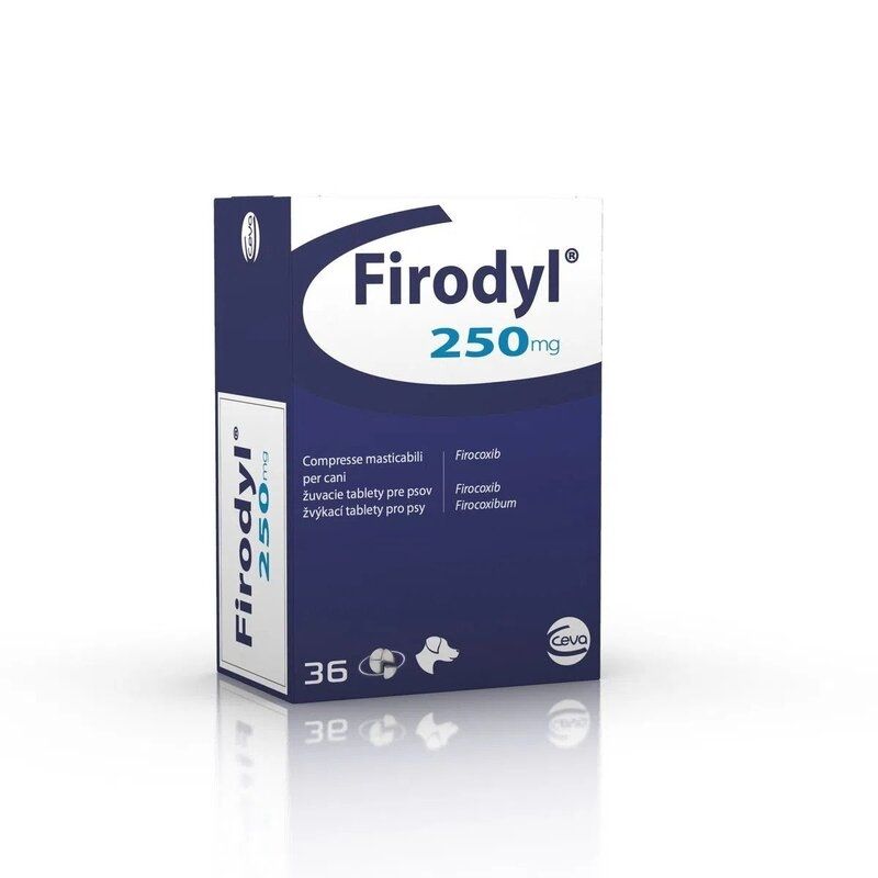 Reducere 30% – Firodyl 250 mg, 36 comprimate masticabile pentru caini 1 Firodyl 250 mg