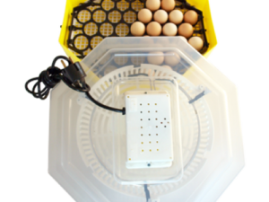 Incubator electric  Cleo5  simplu - 60 oua gaina