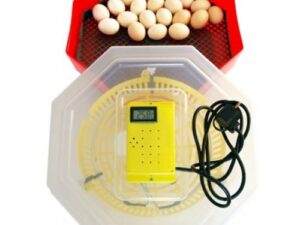 Incubator electric cu termometru si dispozitiv de intoarcere oua Cleo5DT - 41 oua gaina