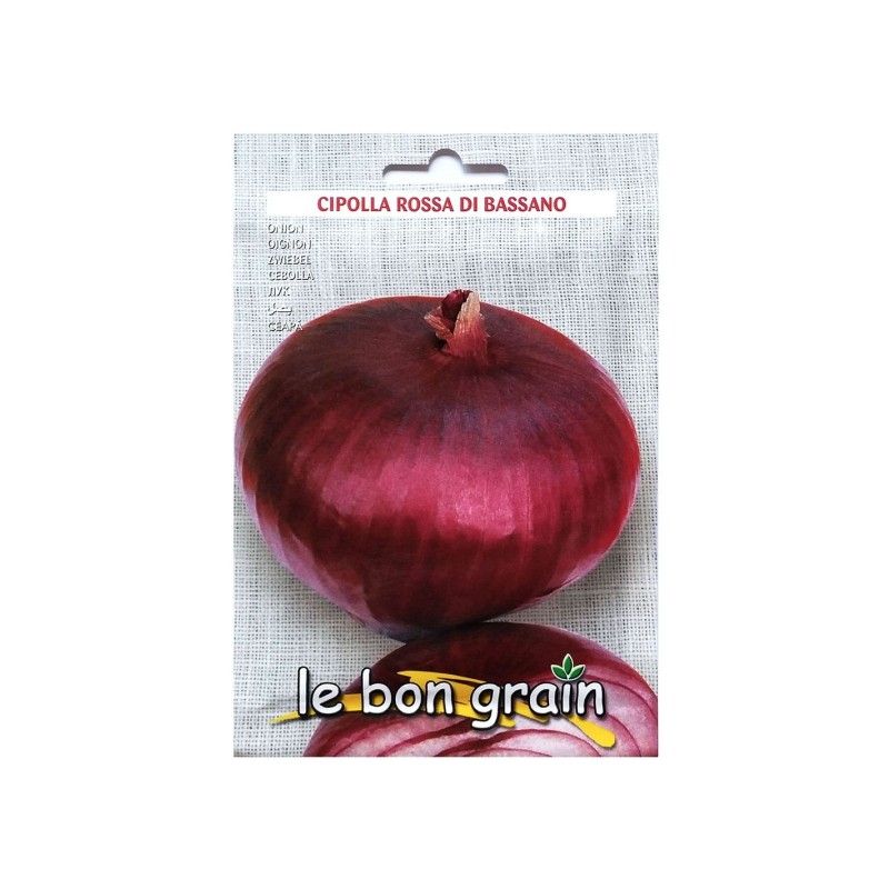 Reducere 14% - Seminte de Ceapa Rosie, Rossa Di Bassano, 100 g, Raci Sementi 1 Seminte de Ceapa Rosie