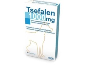 Tsefalen