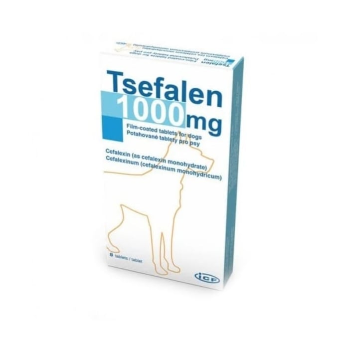 Reducere 52% - Tsefalen, 1000 mg ICF 8 tablete 1 Tsefalen