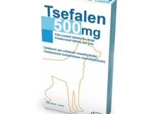 Tsefalen