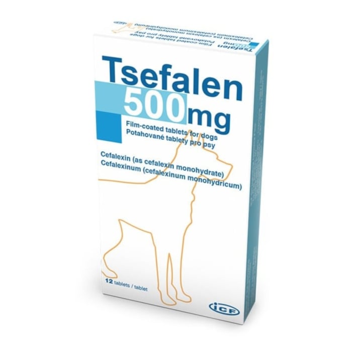 Reducere 52% - Tsefalen, 500 mg ICF 12 tablete 1 Tsefalen