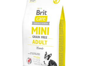 BRIT Care Mini Adult