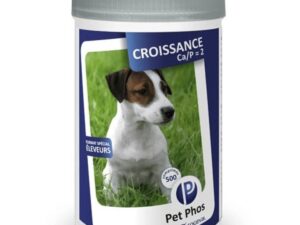 PET PHOS Croissance Ca/P=2