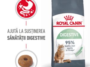 hrană uscată pisici