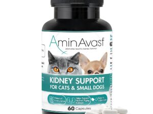 AminAvast Pisica & Caine Talie Mica