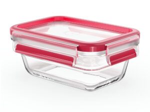 Caserola Tefal MasterSeal Glass N1040510