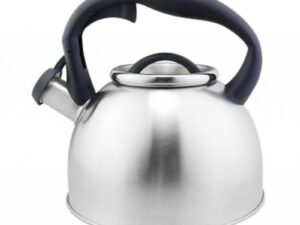 Ceainic Inox
