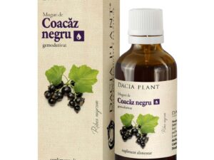 Coacaz Negru Muguri