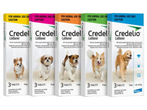 Credelio Caine