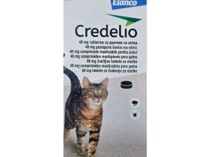 1 tableta