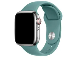 Curea Ceas Apple Watch Silicon Pine Green