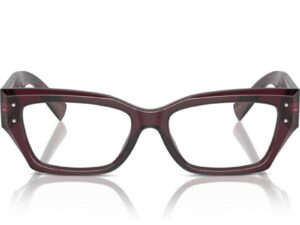 Dolce&Gabbana DG3387 3045 53