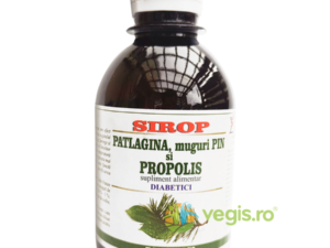 Sirop de Patlagina