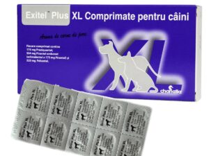 Exitel Plus XL Caine