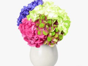 Buchet cu hortensii
