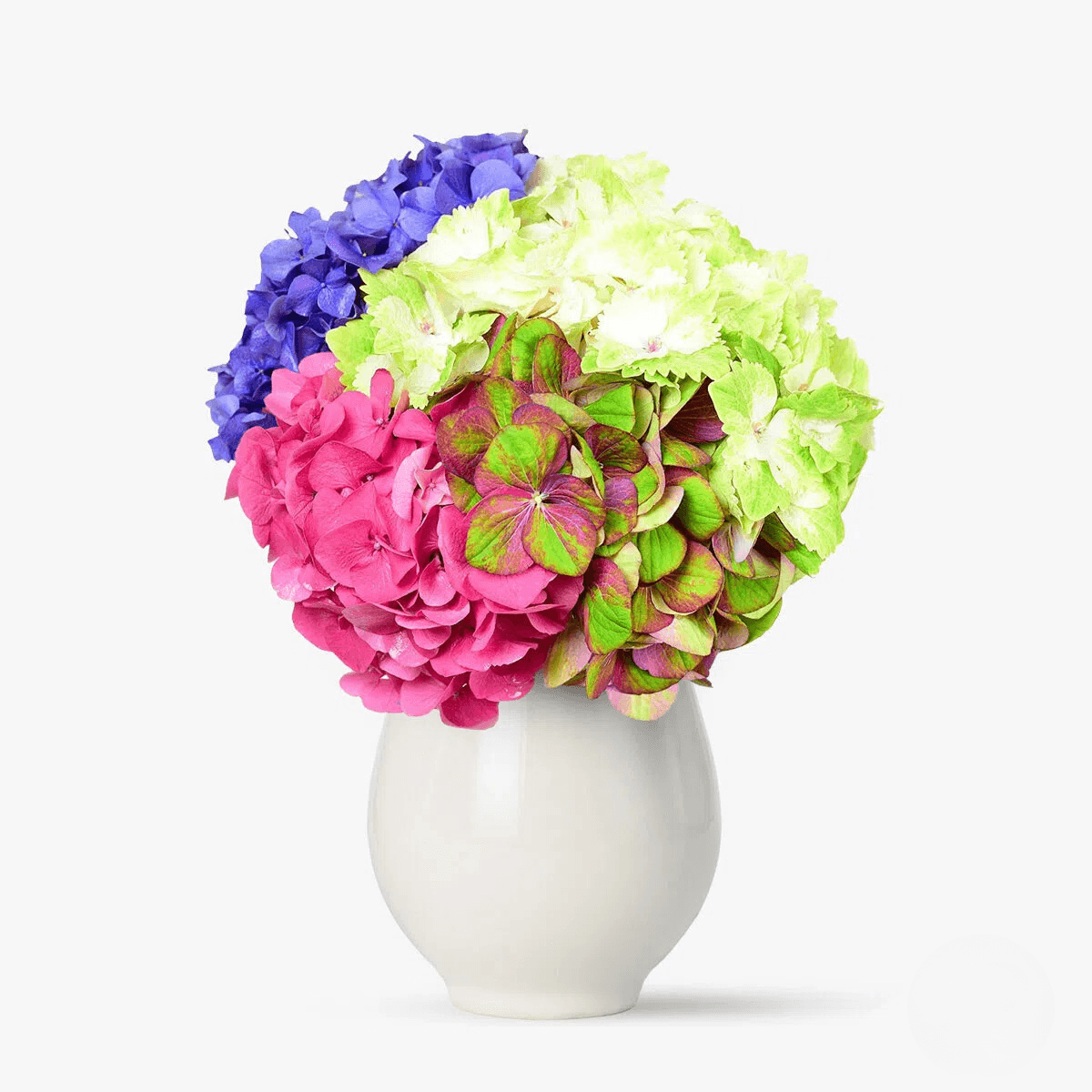 Reducere 15% - Buchet cu hortensii 1 Buchet cu hortensii