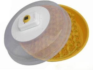 Incubator Oua