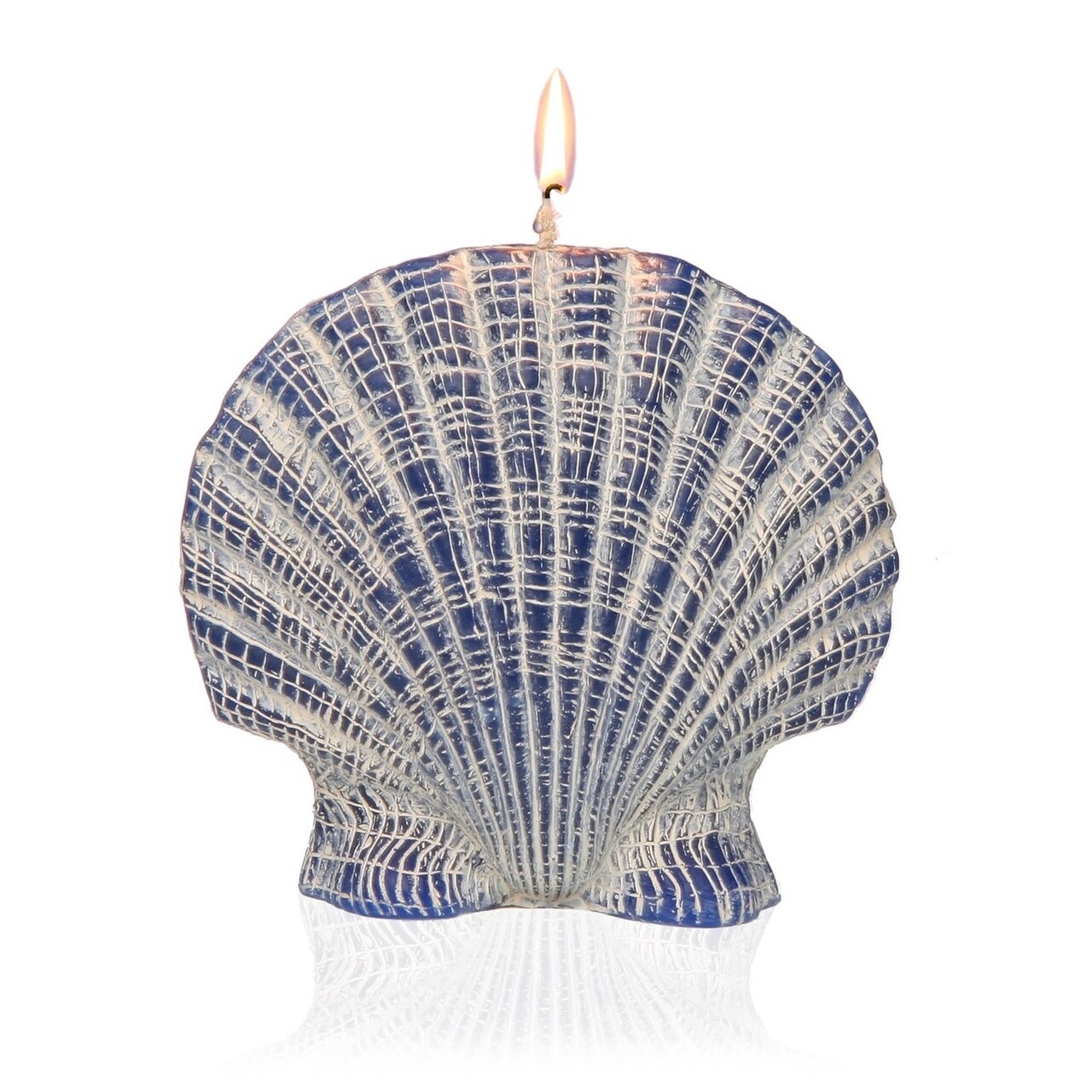 Reducere 40% - Lumanare Scallop, Versa, 13x5x12 cm, parafina 1 Lumanare Scallop
