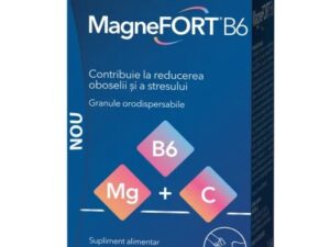 Magnefort B6