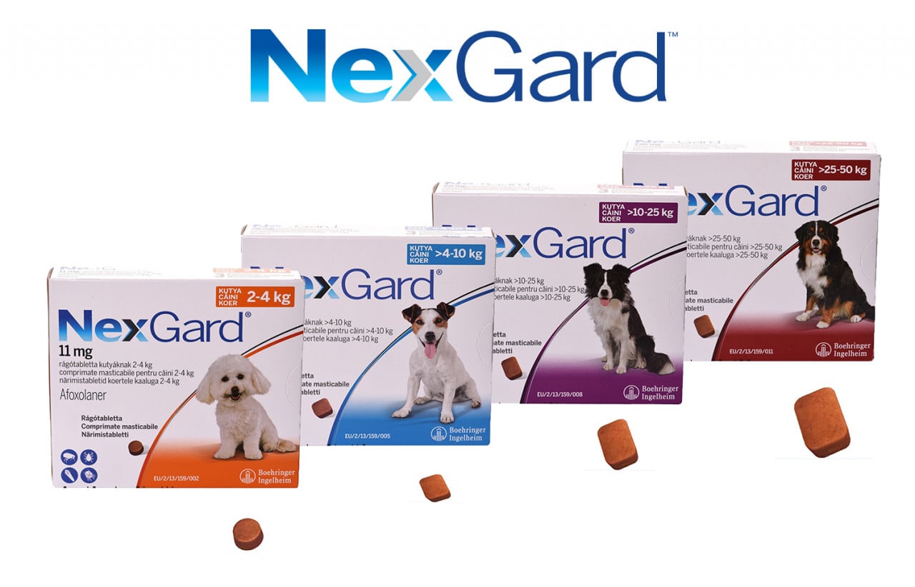 Reducere 22% - Nexgard Caine, 1 tableta 1 Nexgard Caine