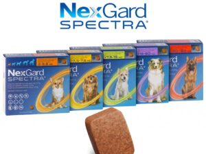 Nexgard Spectra Caine