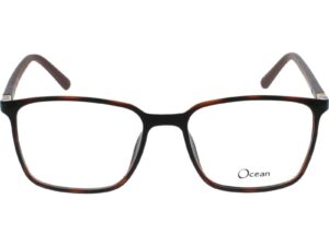 Ocean 5603 C3 53