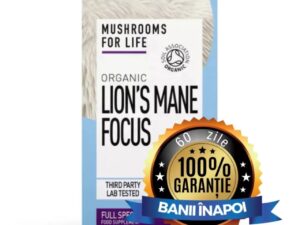 Organic Lion's Mane Focus