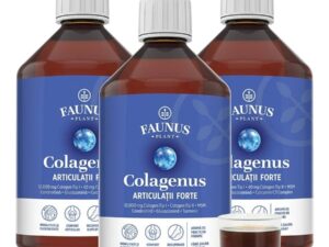 PACHET PROMO 2+1 Colagen hidrolizat pentru articulatii Colagenus Articulatii Forte
