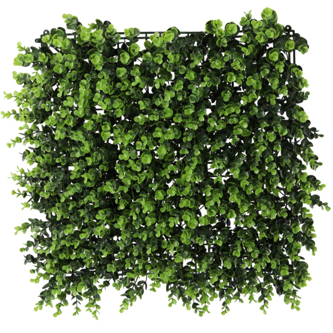 Reducere 21% - Panou decorativ artificial buxus 50x50 cm plastic rezistent uv, montaj perete gard, verde 1 Panou decorativ artificial buxus 50x50 cm plastic rezistent uv