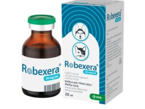 Robexera