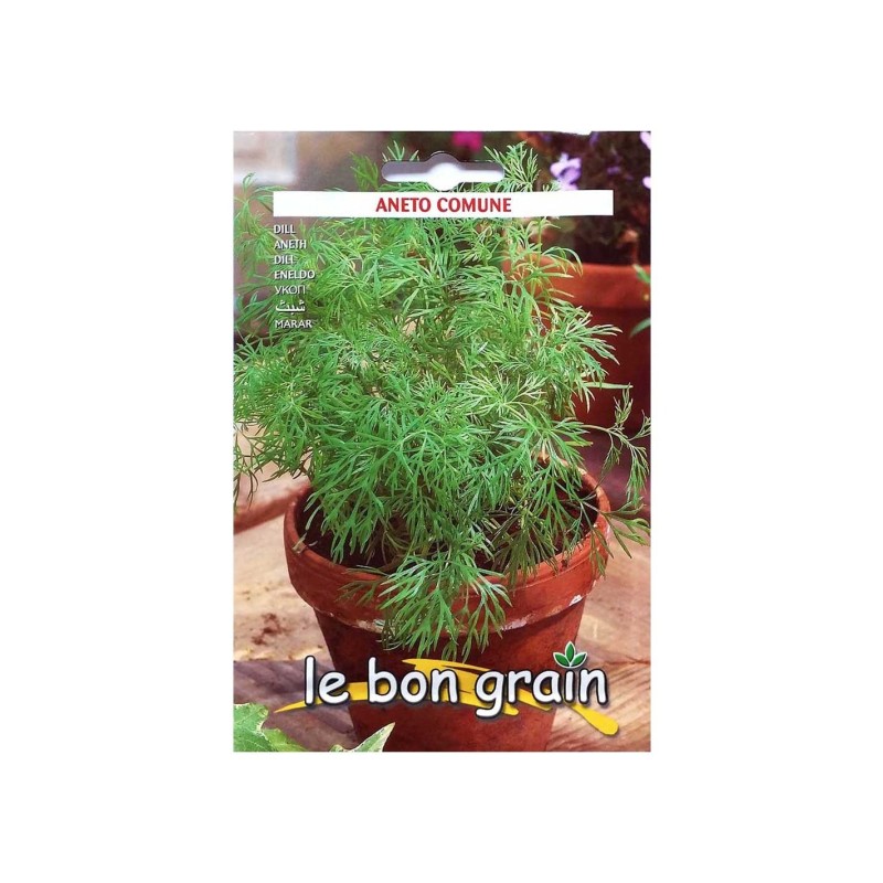 Reducere 14% - Seminte de Marar, 100 g, Raci Sementi 1 Seminte de Marar