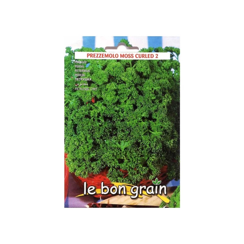 Reducere 14% - Seminte de Patrunjel Cret Moss, 100 g, Raci Sementi 1 Seminte de Patrunjel Cret Moss