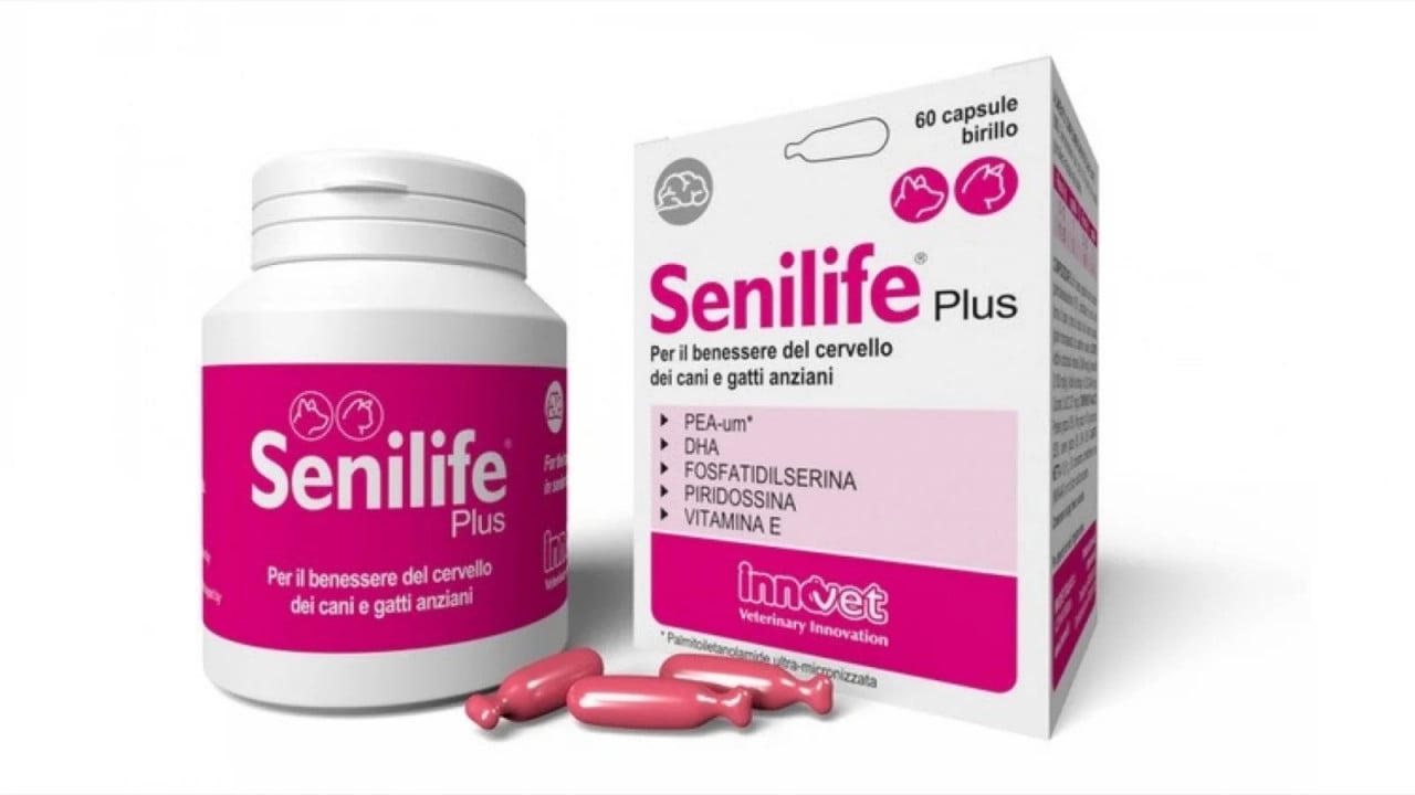 Reducere 23% - Senilife Plus, capsule 2 capsule