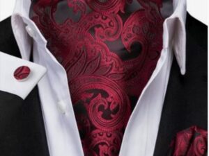 Set cravata / esarfa Ascot + batista + butoni