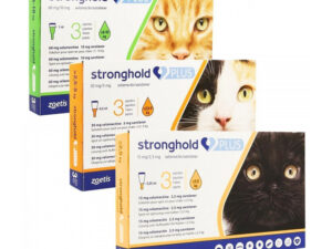 Stronghold Plus Pisica