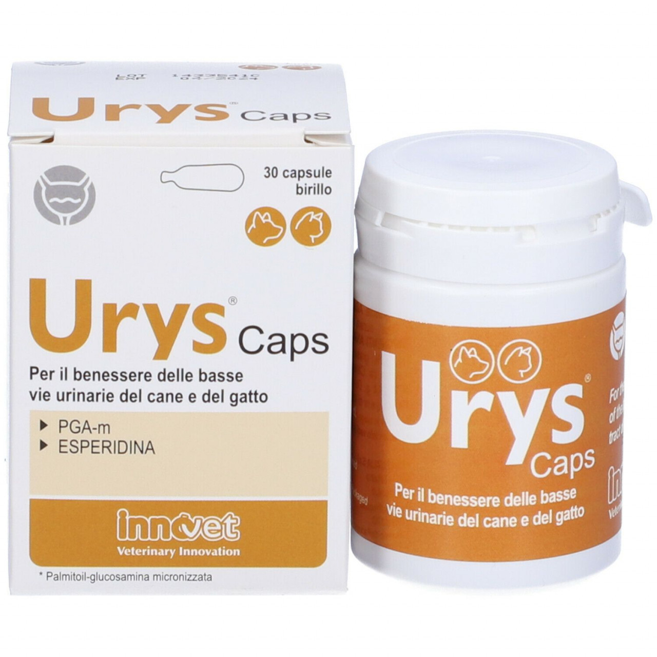 Reducere 26% - Urys, 30 capsule 1 Urys