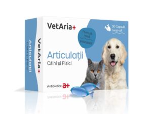 VetAria+ Articulatii