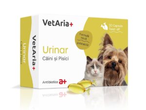 VetAria+ Urinar