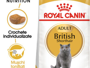 ROYAL CANIN British Shorthair Adult