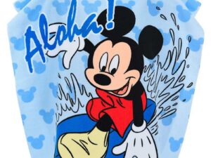 Poncho Mickey
