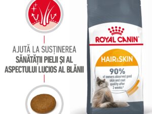 hrană uscată pisici