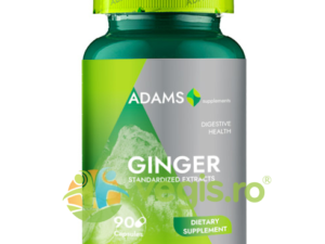 Ghimbir 300mg 90cps