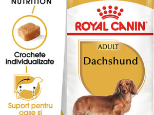 ROYAL CANIN Dachshund Adult