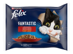 Felix Fantastic Pui