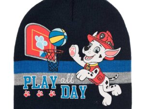 Fes Paw Patrol