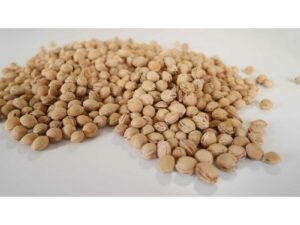 Bociolad